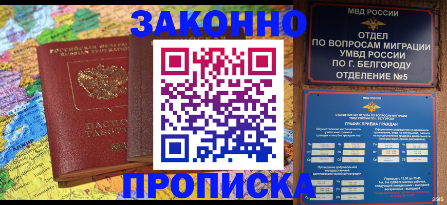временная регистрация гарантия в Брянске